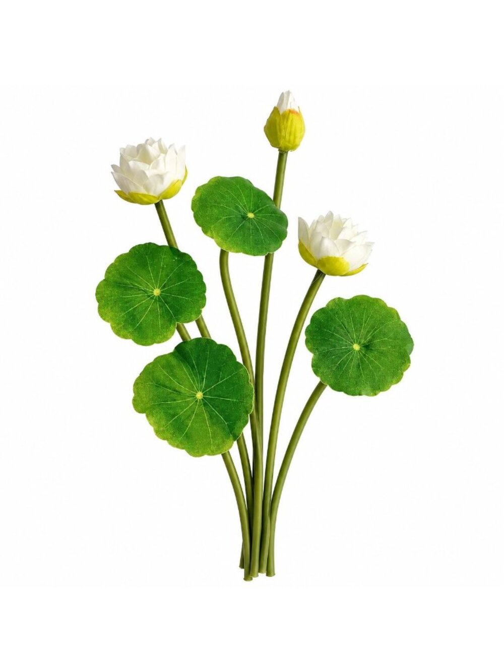 Faux White Water Lily Set, 7 Separate 10-Inch Stems with Green Leaves